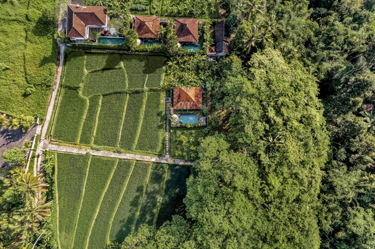 Ratni Ubud Villa المظهر الخارجي الصورة